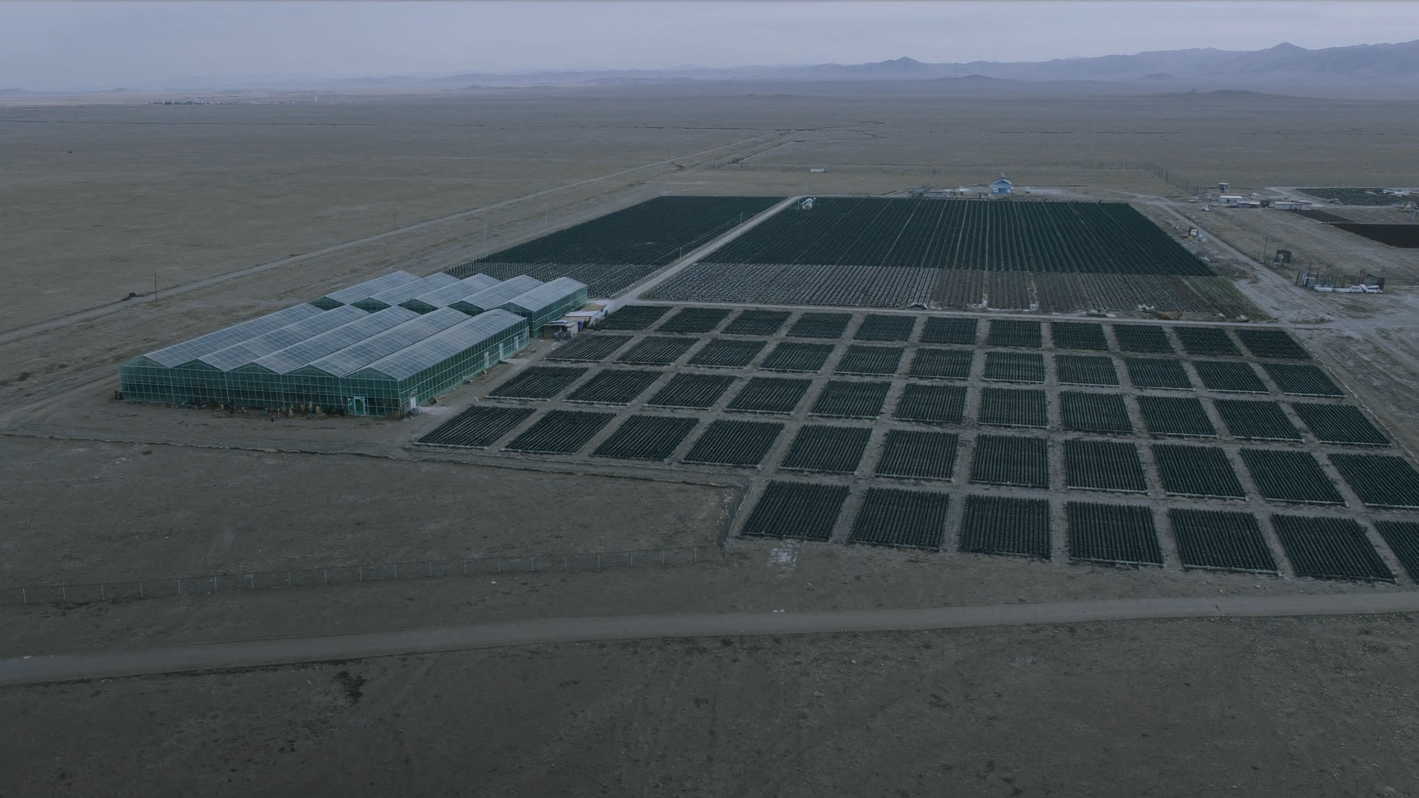 Illustrative view: an industrial forest nursery complex with greenhouses and seedling fields laid out in a grid on open steppe in Central Asia